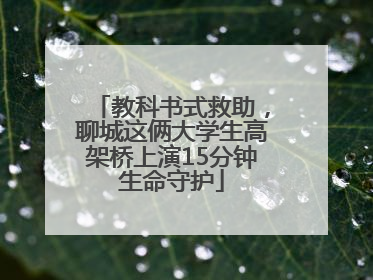 教科书式救助，聊城这俩大学生高架桥上演15分钟生命守护