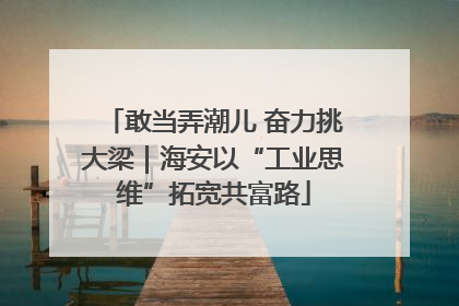 敢当弄潮儿 奋力挑大梁｜海安以“工业思维”拓宽共富路