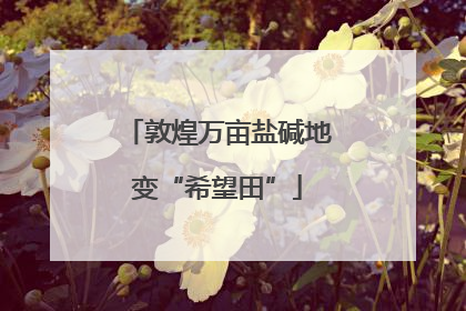 敦煌万亩盐碱地变“希望田”