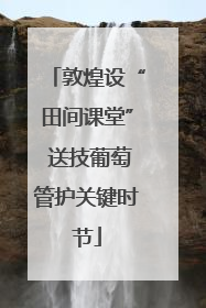 敦煌设“田间课堂” 送技葡萄管护关键时节