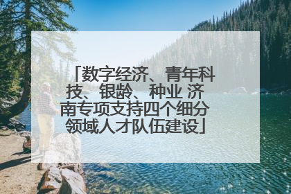 数字经济、青年科技、银龄、种业 济南专项支持四个细分领域人才队伍建设
