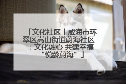 文化社区丨威海市环翠区嵩山街道蔚海社区：文化融心 共建幸福“悦龄蔚海”