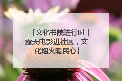 文化书院进行时｜露天电影进社区，文化烟火暖民心