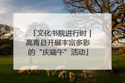 文化书院进行时｜高青县开展丰富多彩的“庆端午”活动