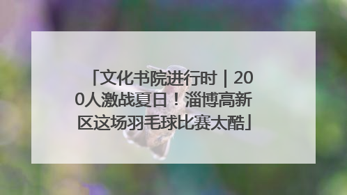 文化书院进行时｜200人激战夏日！淄博高新区这场羽毛球比赛太酷