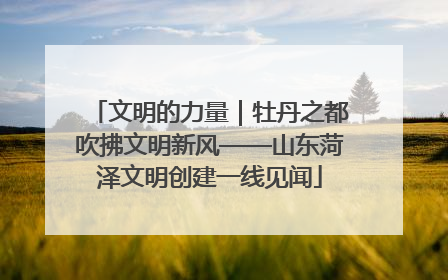文明的力量｜牡丹之都吹拂文明新风——山东菏泽文明创建一线见闻