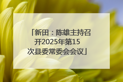 新田：陈雄主持召开2025年第15次县委常委会会议