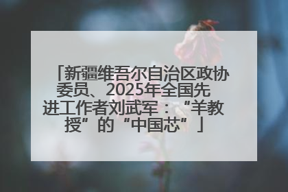 新疆维吾尔自治区政协委员、2025年全国先进工作者刘武军：“羊教授”的“中国芯”
