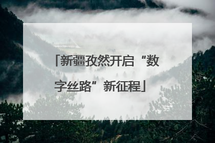 新疆孜然开启“数字丝路”新征程