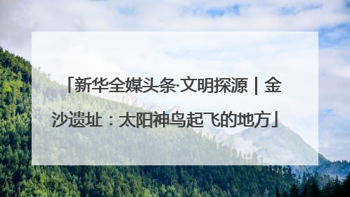 新华全媒头条·文明探源｜金沙遗址：太阳神鸟起飞的地方