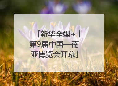 新华全媒+丨第9届中国—南亚博览会开幕