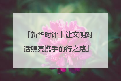 新华时评丨让文明对话照亮携手前行之路