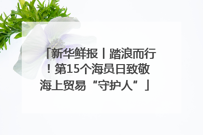 新华鲜报丨踏浪而行！第15个海员日致敬海上贸易“守护人”