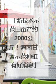 新技术示范田亩产约2000公斤！海南甘薯示范种植有好消息