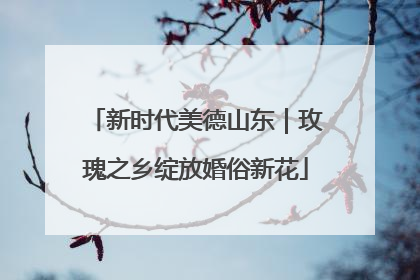 新时代美德山东｜玫瑰之乡绽放婚俗新花
