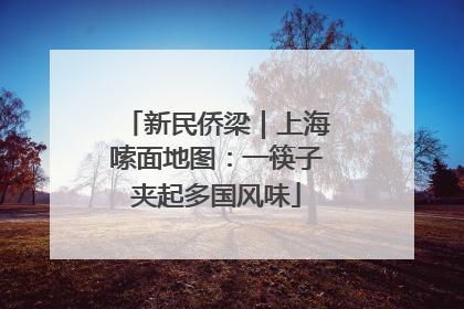 新民侨梁｜上海嗦面地图：一筷子夹起多国风味