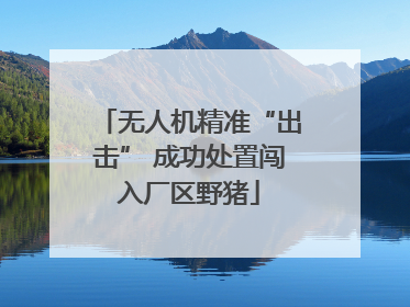 无人机精准“出击” 成功处置闯入厂区野猪