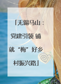 无锡马山：党建引领 铺就“梅”好乡村振兴路