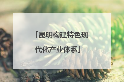 昆明构建特色现代化产业体系