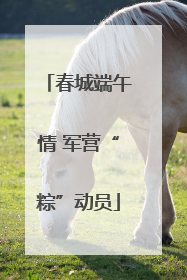 春城端午情 军营“粽”动员