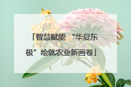 智慧赋能 “华夏东极”绘就农业新画卷
