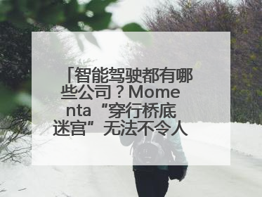 智能驾驶都有哪些公司？Momenta“穿行桥底迷宫”无法不令人印象深刻！