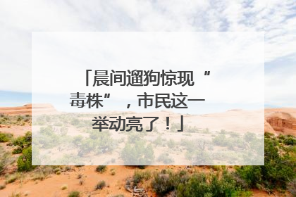晨间遛狗惊现“毒株”，市民这一举动亮了！