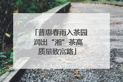 普惠春雨入茶园 润出“湘”茶高质量致富路