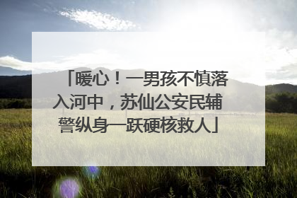 暖心！一男孩不慎落入河中，苏仙公安民辅警纵身一跃硬核救人