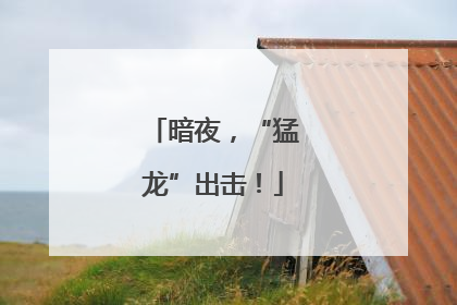 暗夜，“猛龙”出击！