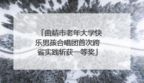 曲靖市老年大学快乐男孩合唱团首次跨省实践斩获一等奖