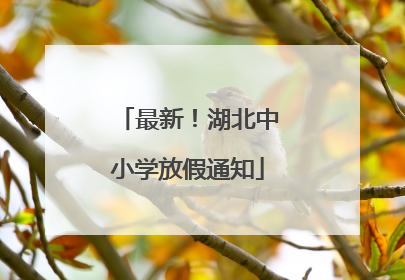 最新！湖北中小学放假通知