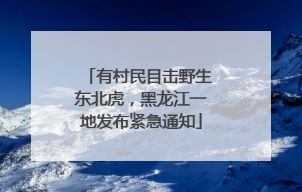 有村民目击野生东北虎，黑龙江一地发布紧急通知