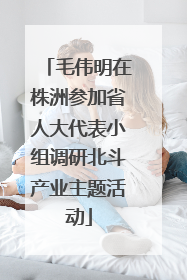毛伟明在株洲参加省人大代表小组调研北斗产业主题活动