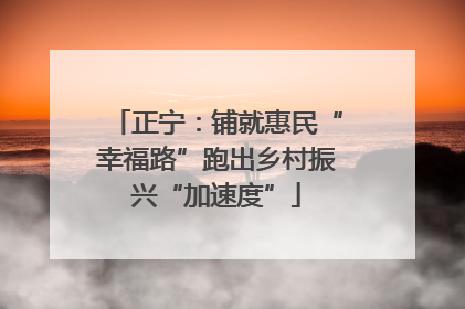 正宁：铺就惠民“幸福路”跑出乡村振兴“加速度”