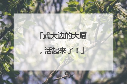 武大边的大厦，活起来了！