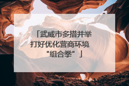 武威市多措并举打好优化营商环境“组合拳”
