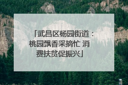 武昌区杨园街道：桃园飘香采摘忙 消费扶贫促振兴