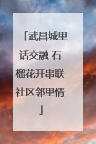 武昌城里话交融 石榴花开串联社区邻里情
