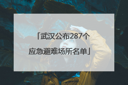 武汉公布287个应急避难场所名单