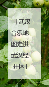 武汉音乐地图走进武汉经开区