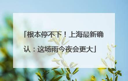 根本停不下！上海最新确认：这场雨今夜会更大