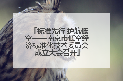 标准先行 护航低空——南京市低空经济标准化技术委员会成立大会召开