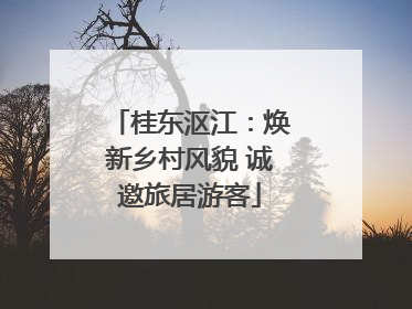 桂东沤江：焕新乡村风貌 诚邀旅居游客