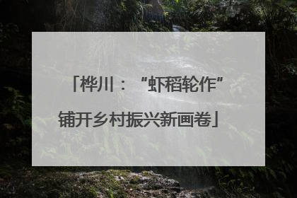 桦川：“虾稻轮作”铺开乡村振兴新画卷