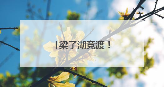 梁子湖竞渡！湖北省第十七届龙舟大赛收官