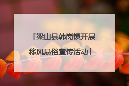 梁山县韩岗镇开展移风易俗宣传活动