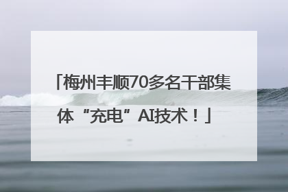 梅州丰顺70多名干部集体“充电”AI技术！