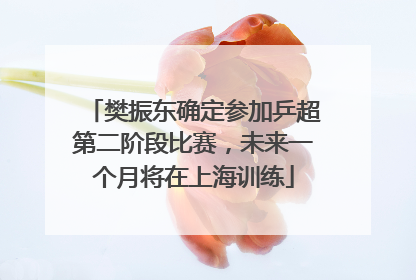 樊振东确定参加乒超第二阶段比赛，未来一个月将在上海训练