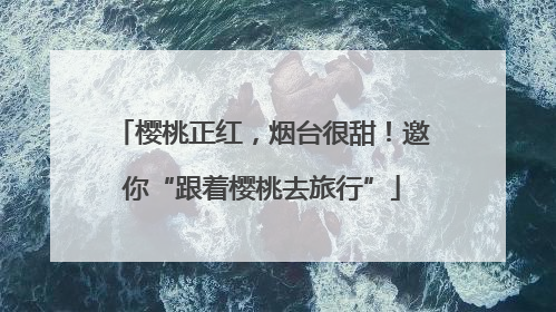 樱桃正红，烟台很甜！邀你“跟着樱桃去旅行”